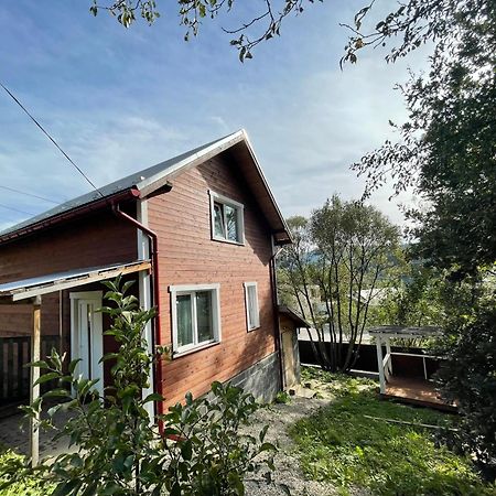 Карпатський Котедж Karpatian Cottage Worochta Exterior foto