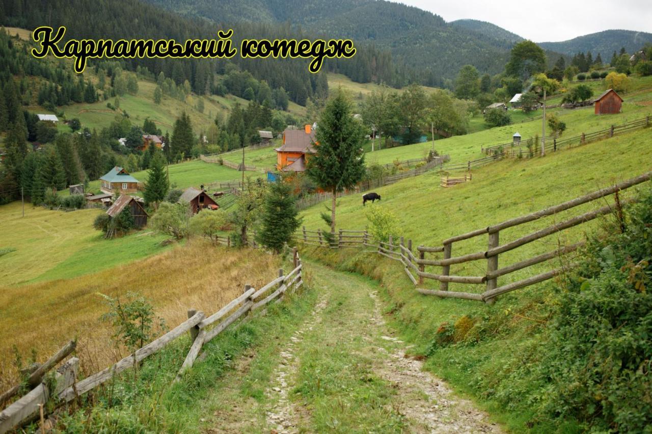 Карпатський Котедж Karpatian Cottage Worochta Exterior foto