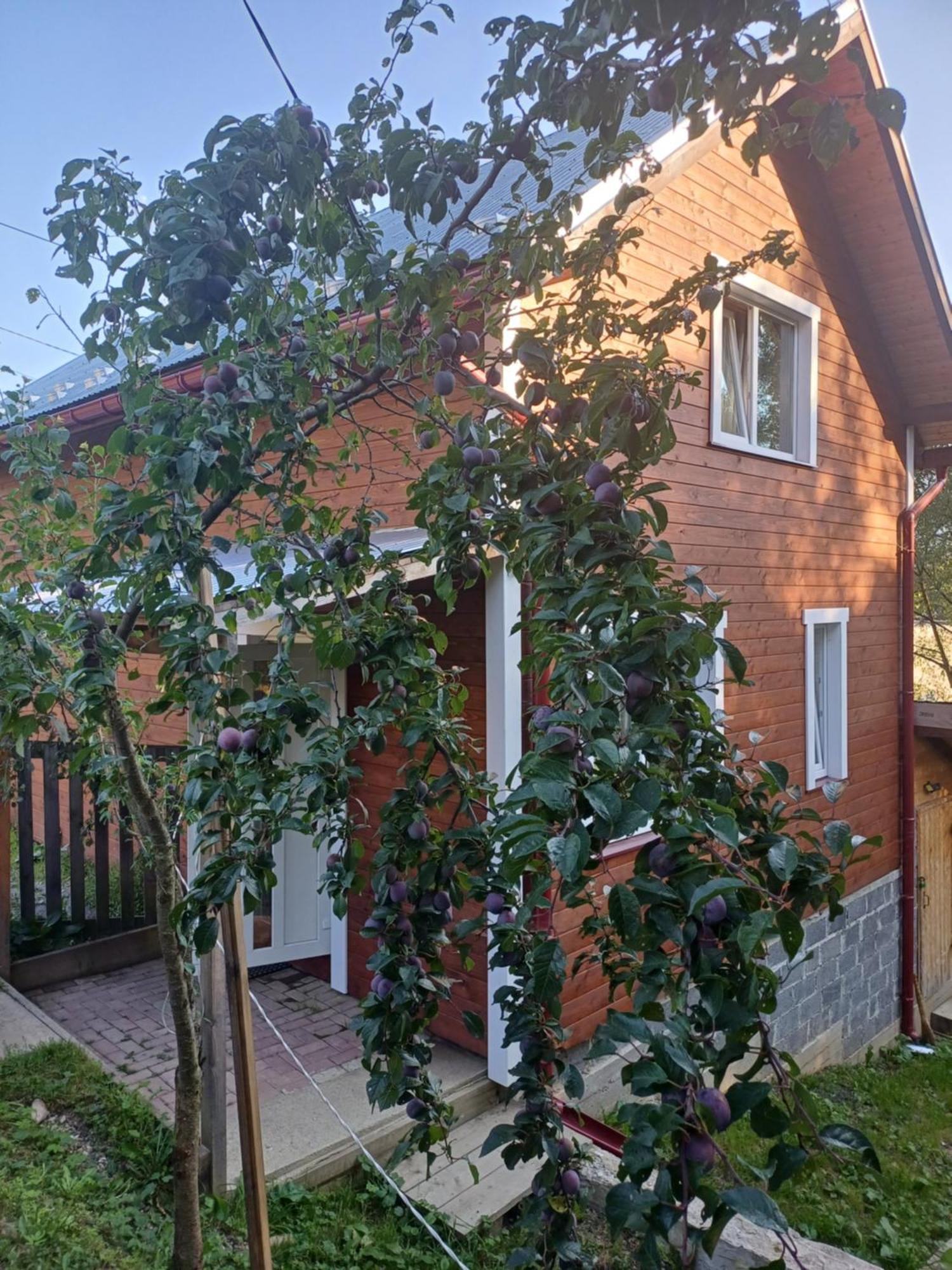 Карпатський Котедж Karpatian Cottage Worochta Exterior foto